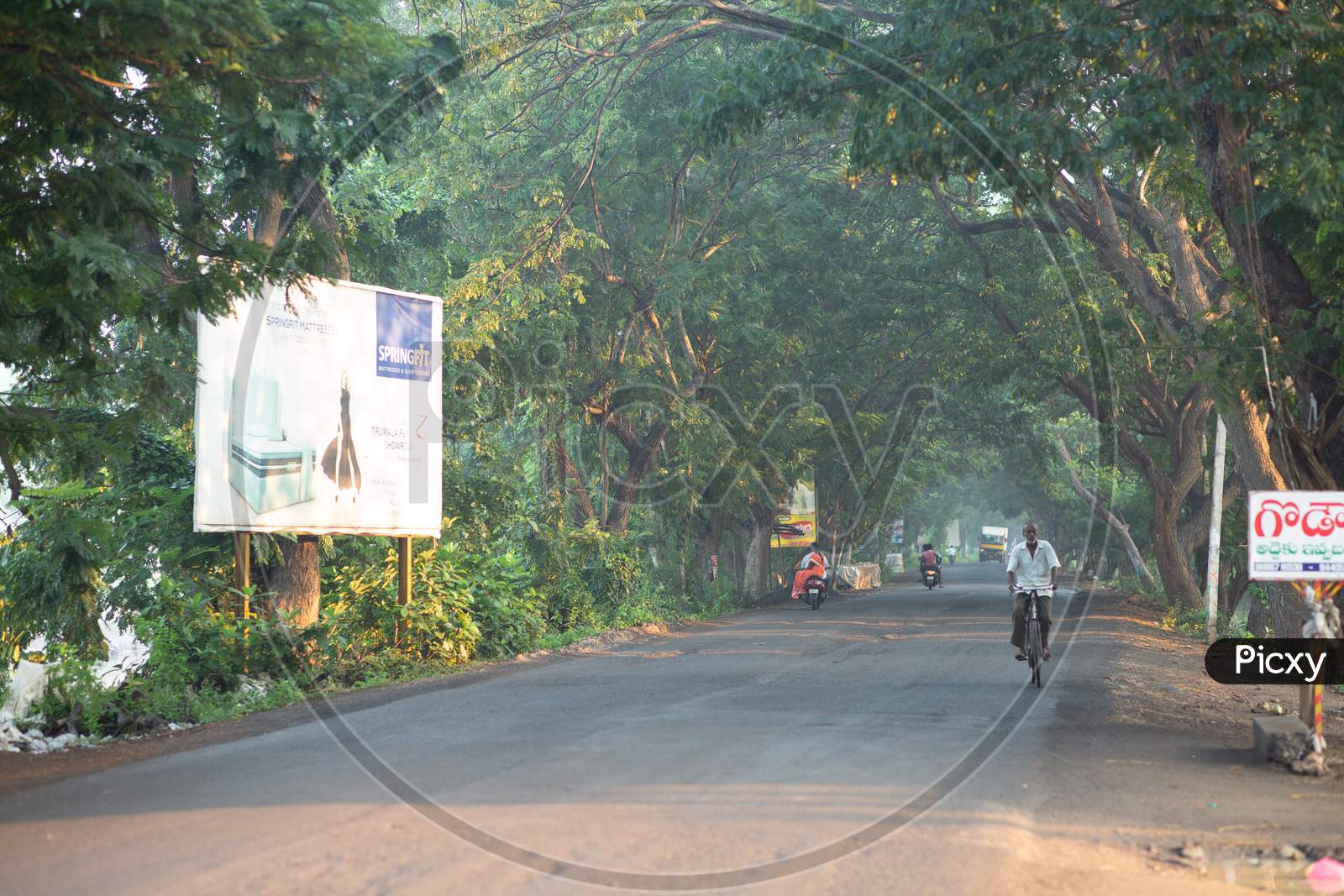 A Palakollu roadway covered with trees
