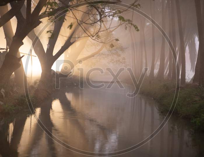 Scattering of light rays in the fog
