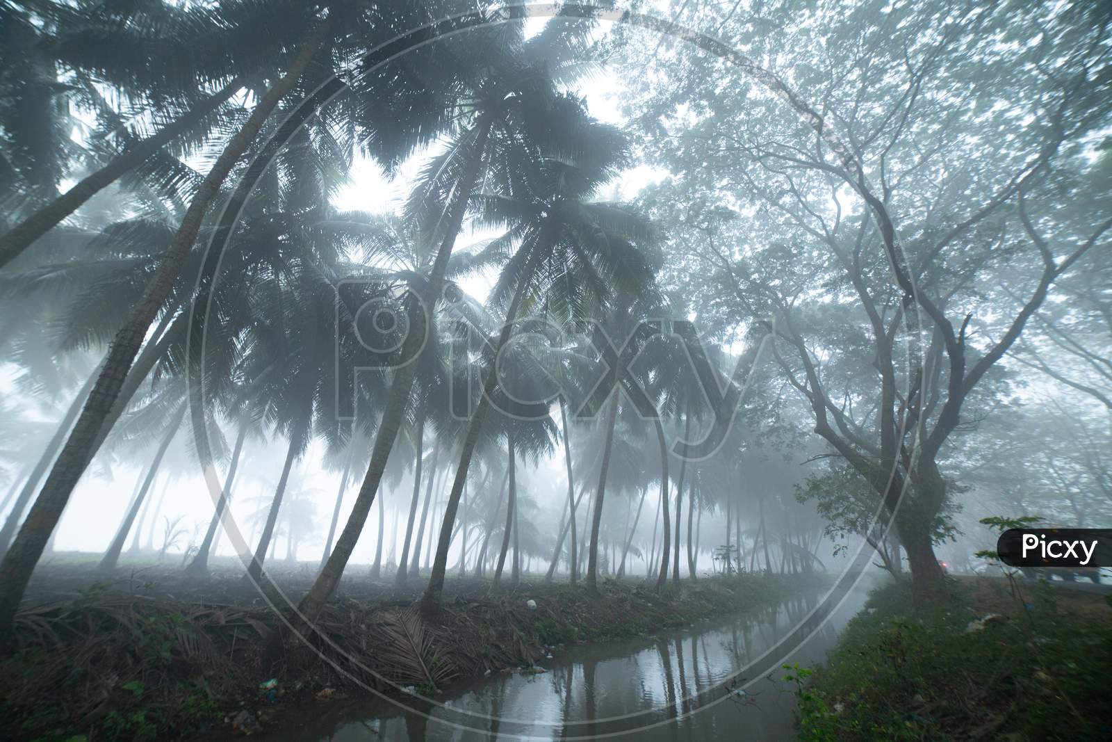 View of pond during a foggy morning in Palakollu