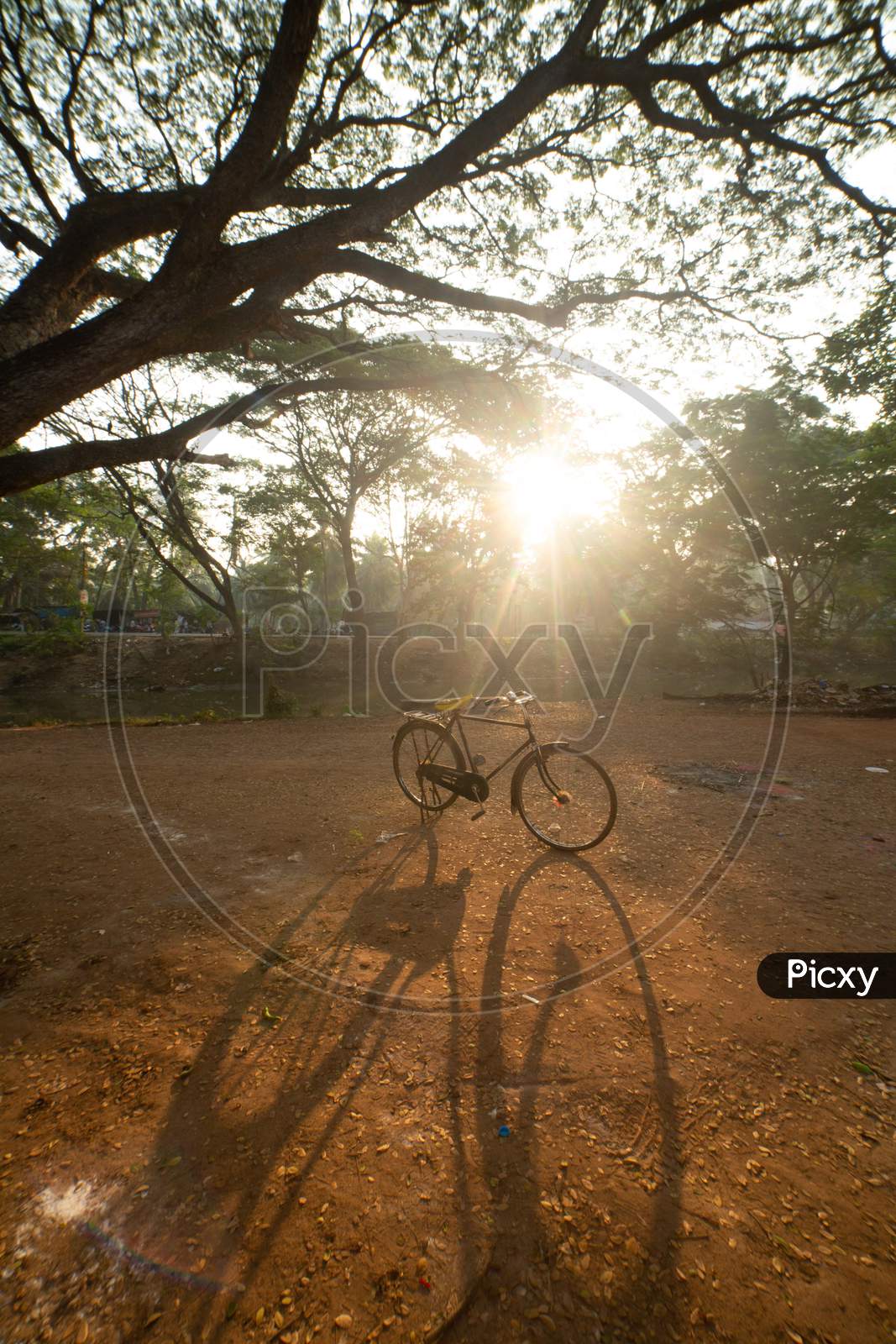 Shadow Of Bicycle Over a Bright Sun