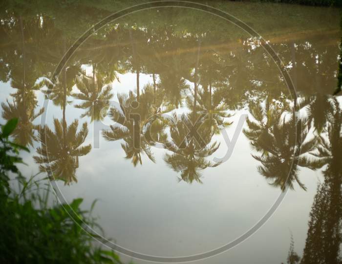 Water Channel With Trees Reflection Over Water Surface at Rural Village Outskirts