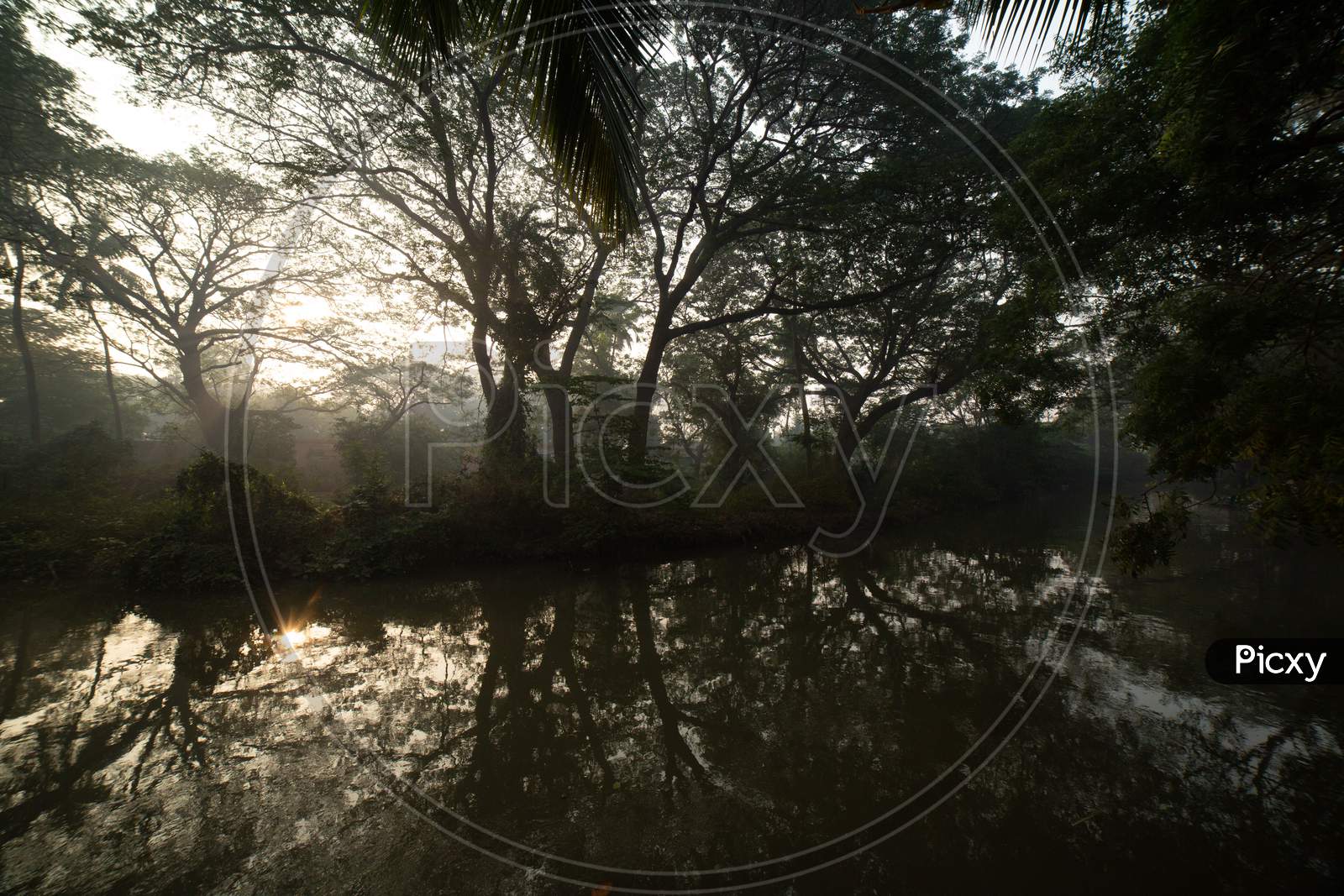 Canopy Of Trees With  Reflection  On Water Surface On an Winter Morning In Rural Village Outskirts