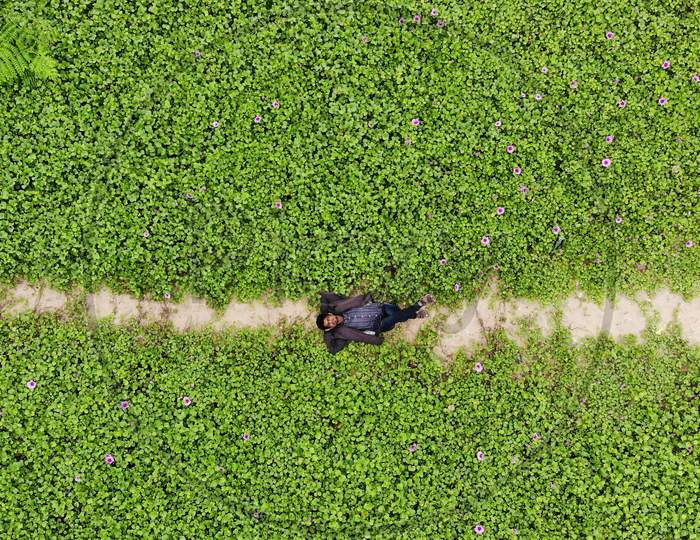 Aerial view of a man lying in the green field
