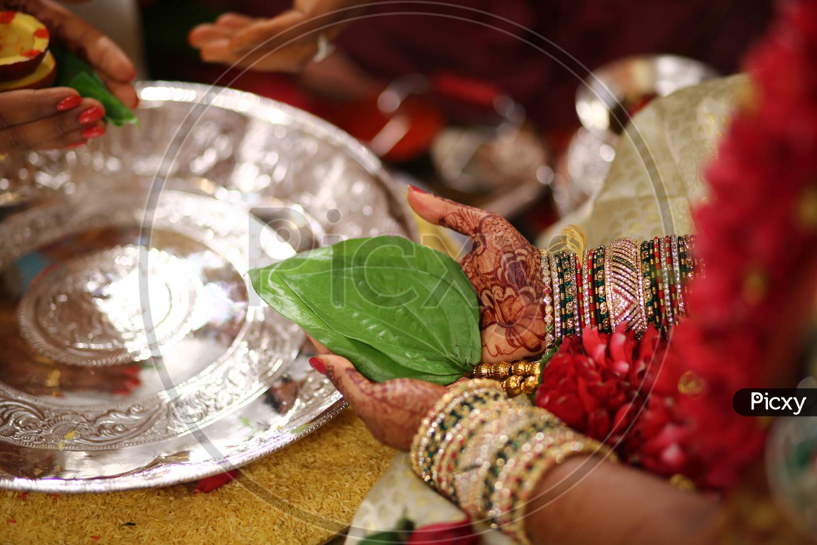 Indian bride holding betel leaves