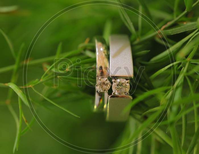 Couple Wedding Rings With Green Grass  Background