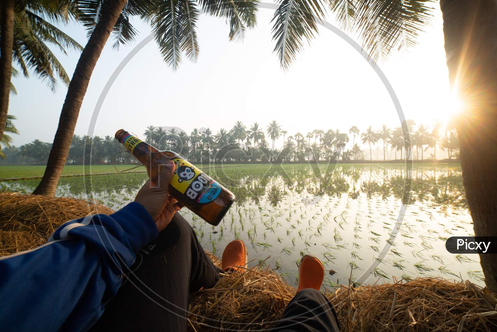 Man Holding a Beer Bottle With Paddy Fields in Background