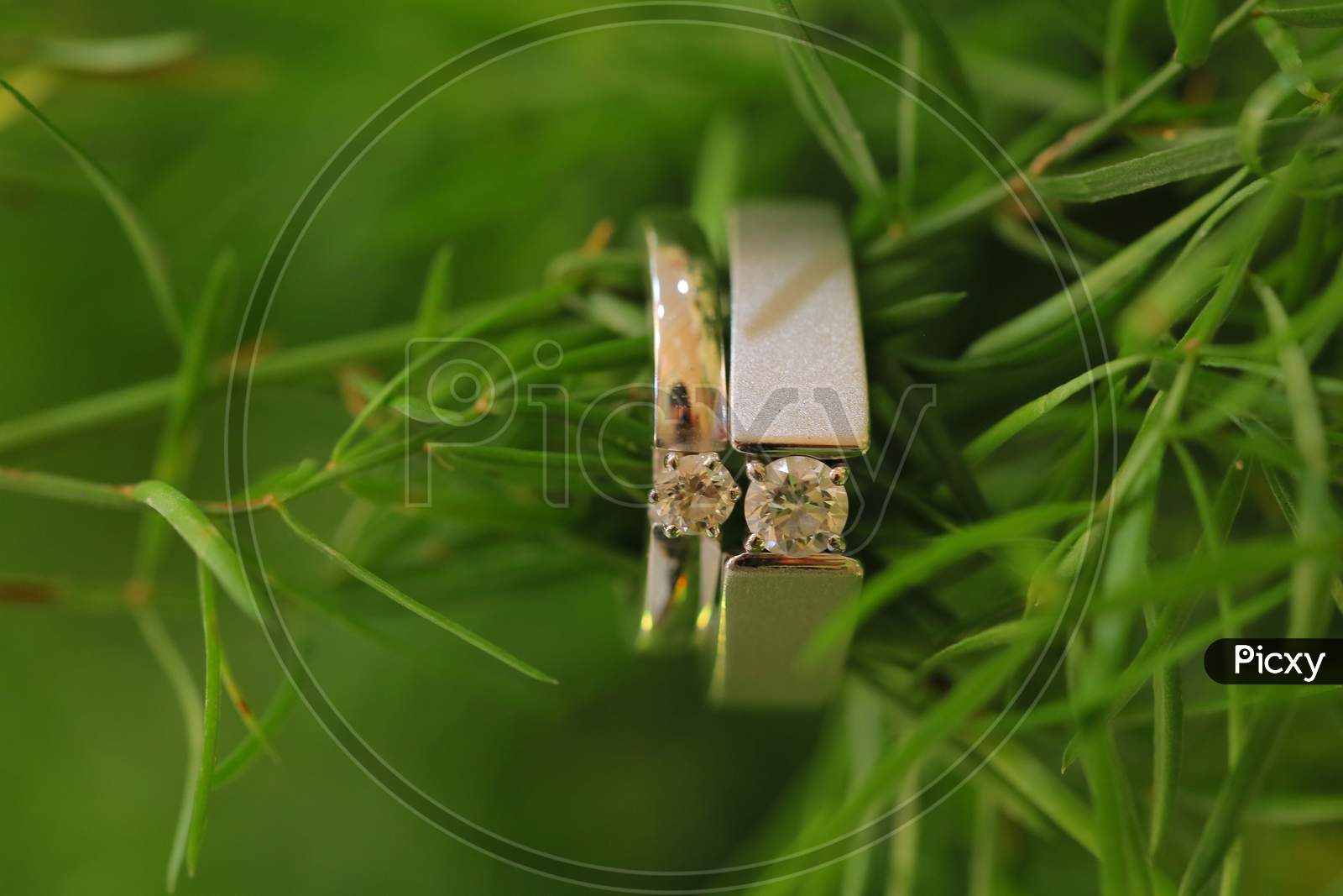 Couple Wedding Rings With Green Grass  Background