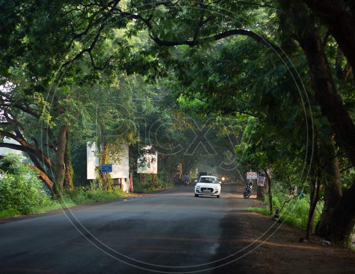 Canopy Of Trees Over a Rural Village Roads