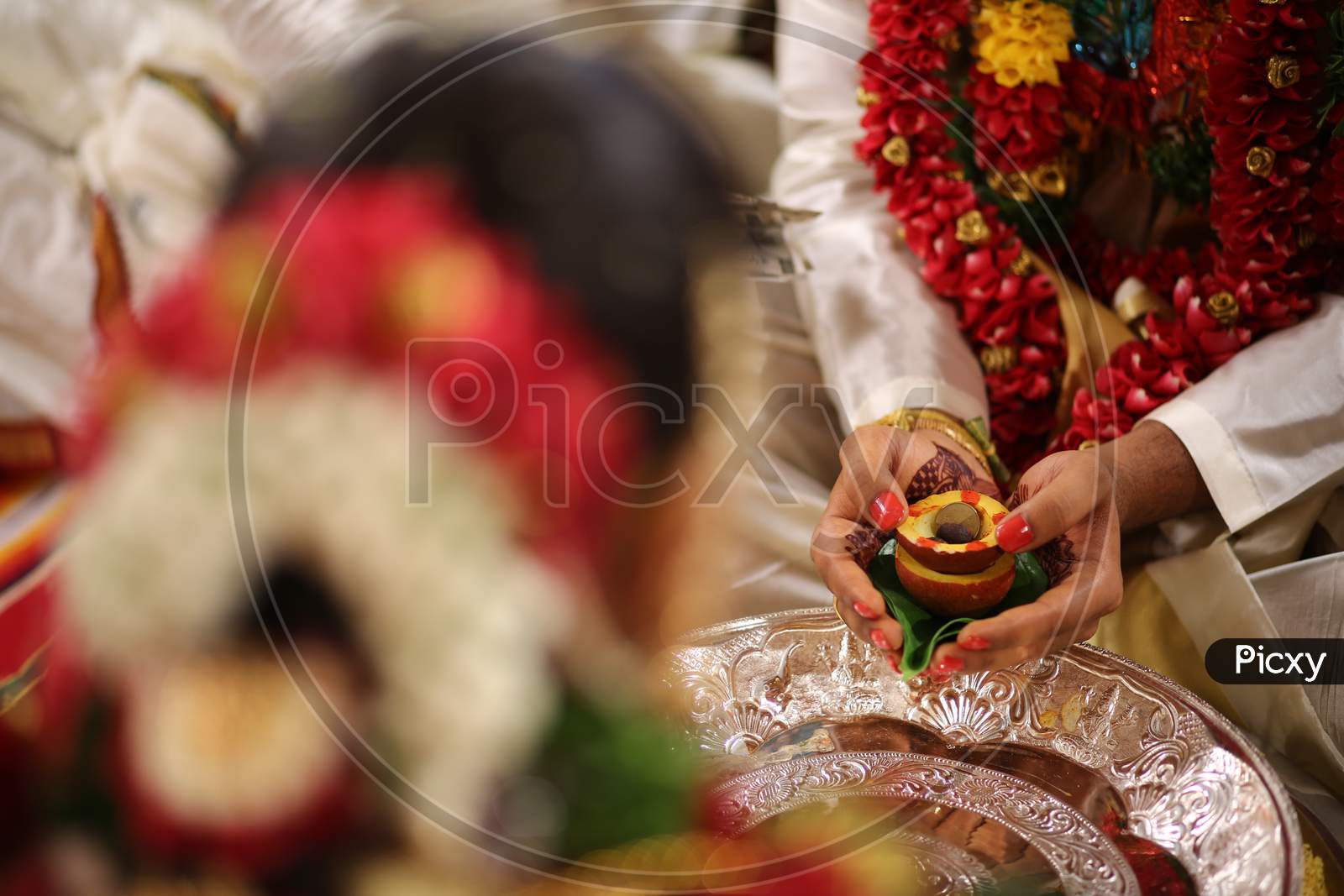 Indian Bride Groom holding the sacred sindhoor