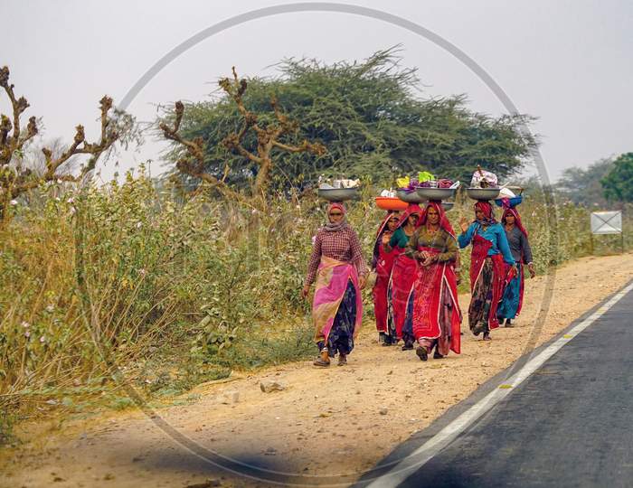 Rural tribal women carrying lunch on their heads