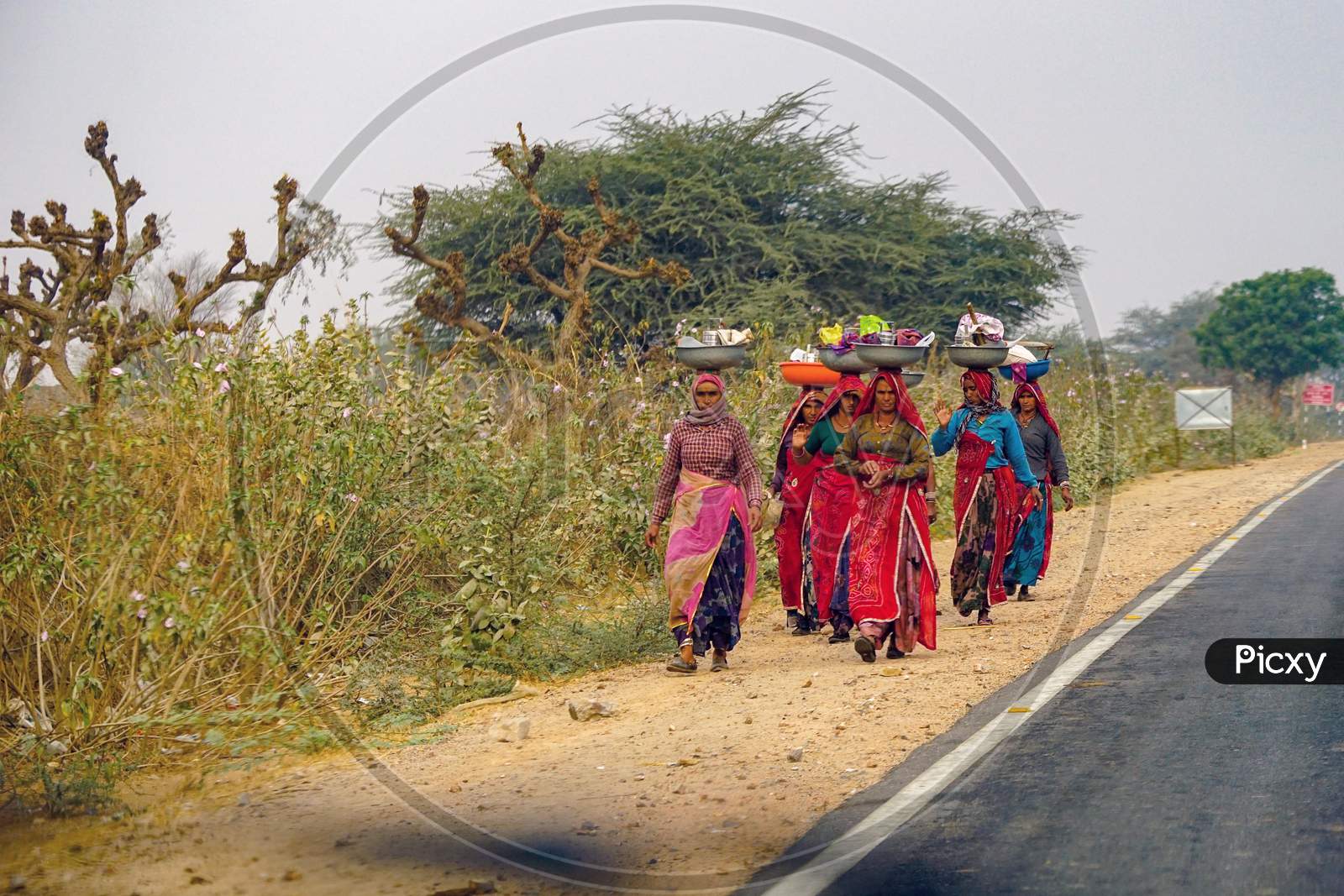 Rural tribal women carrying lunch on their heads