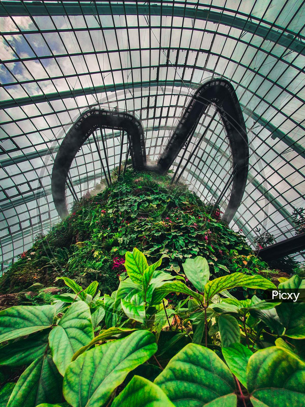 Inside the Cloud forest at gardens by the bay