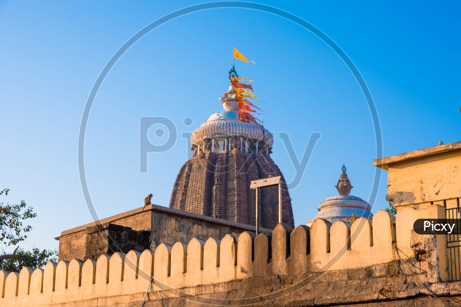 Puri  Jagannath Temple shrine with flags