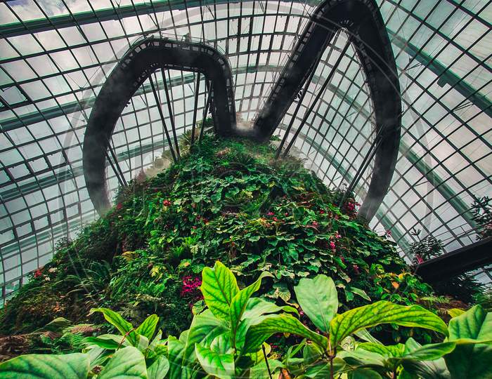Inside the Cloud forest at gardens by the bay