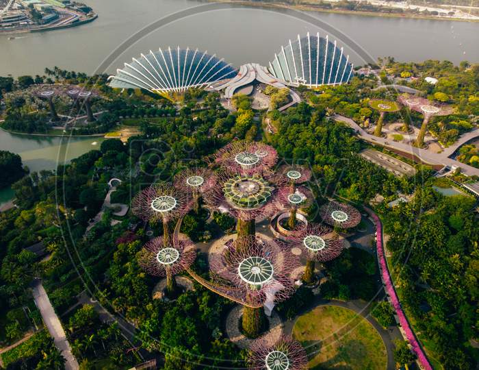 Gardens by the bay