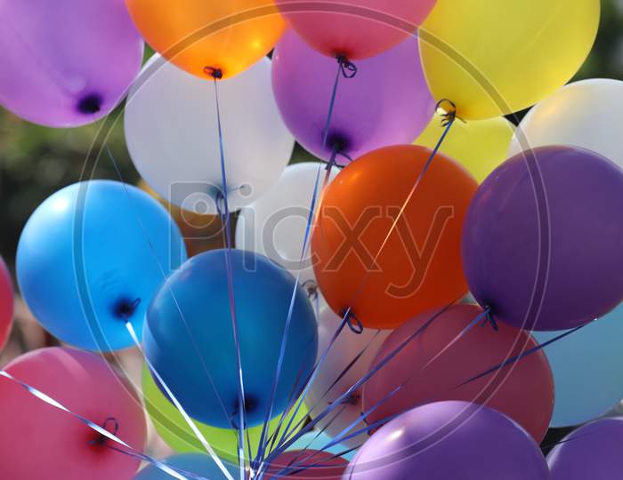 Colourful Balloons  Bundles Closeup