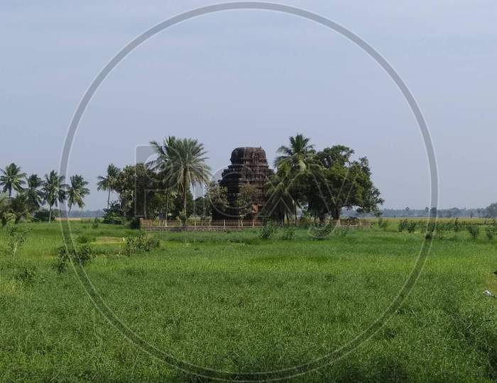 An Ancient Hindu temple With Shrine At Green Paddy Fields