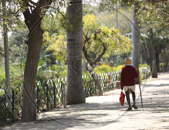 An Elderly Man Walking In an Park  Pathway