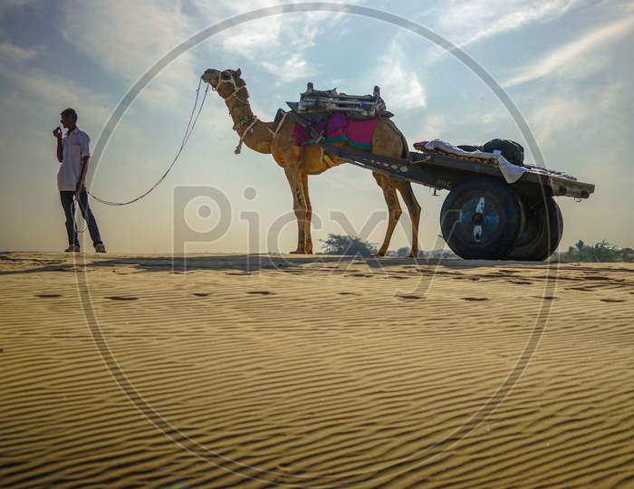 A Camel rider with his camel in the desert