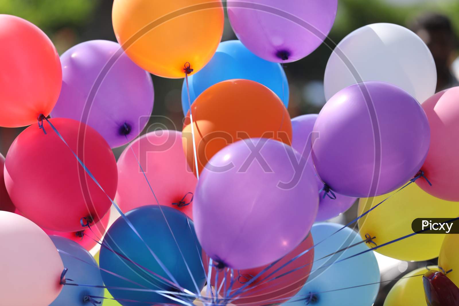 Colourful Balloons  Bundles Closeup