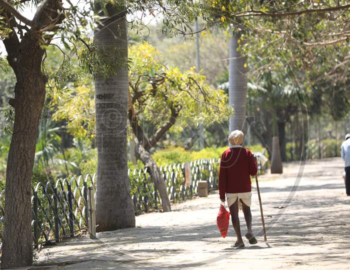 An Elderly Man Walking In an Park  Pathway