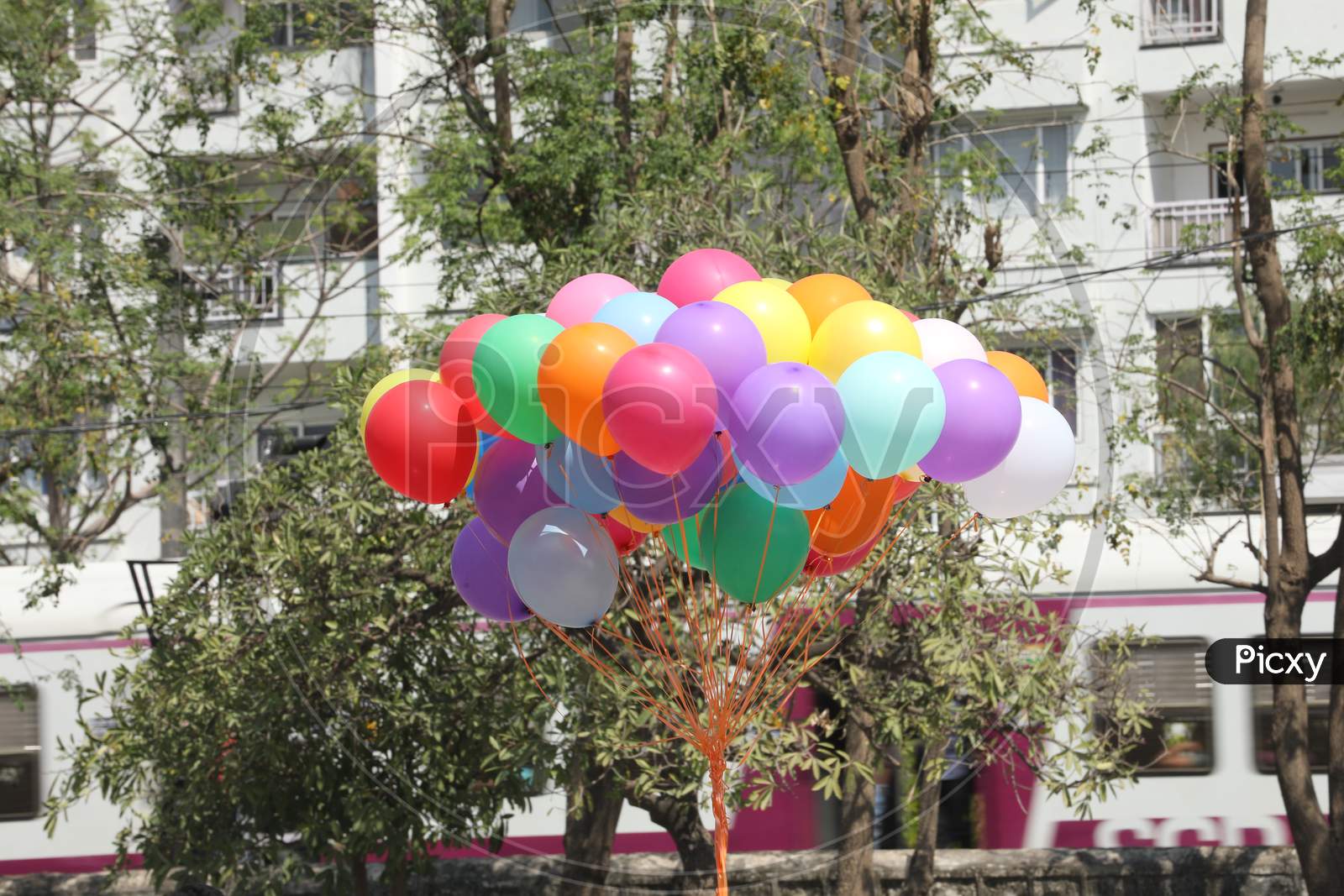 Colourful Balloons  Bundle