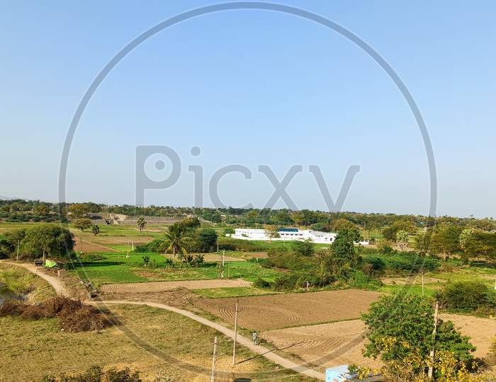 Agriculture Fields at Warangal
