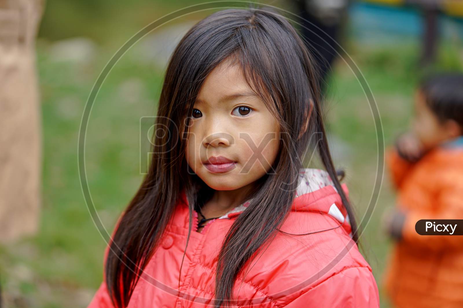 Portrait of Nepalese little girl with long hair