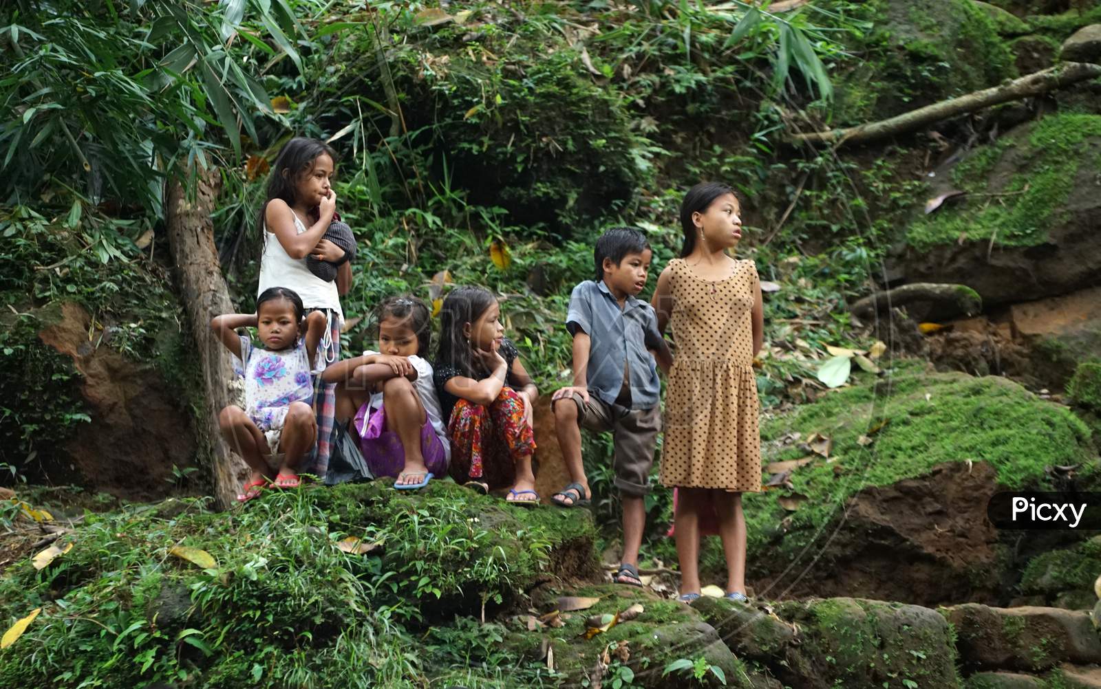 Group of sikkim kids standing in the forest