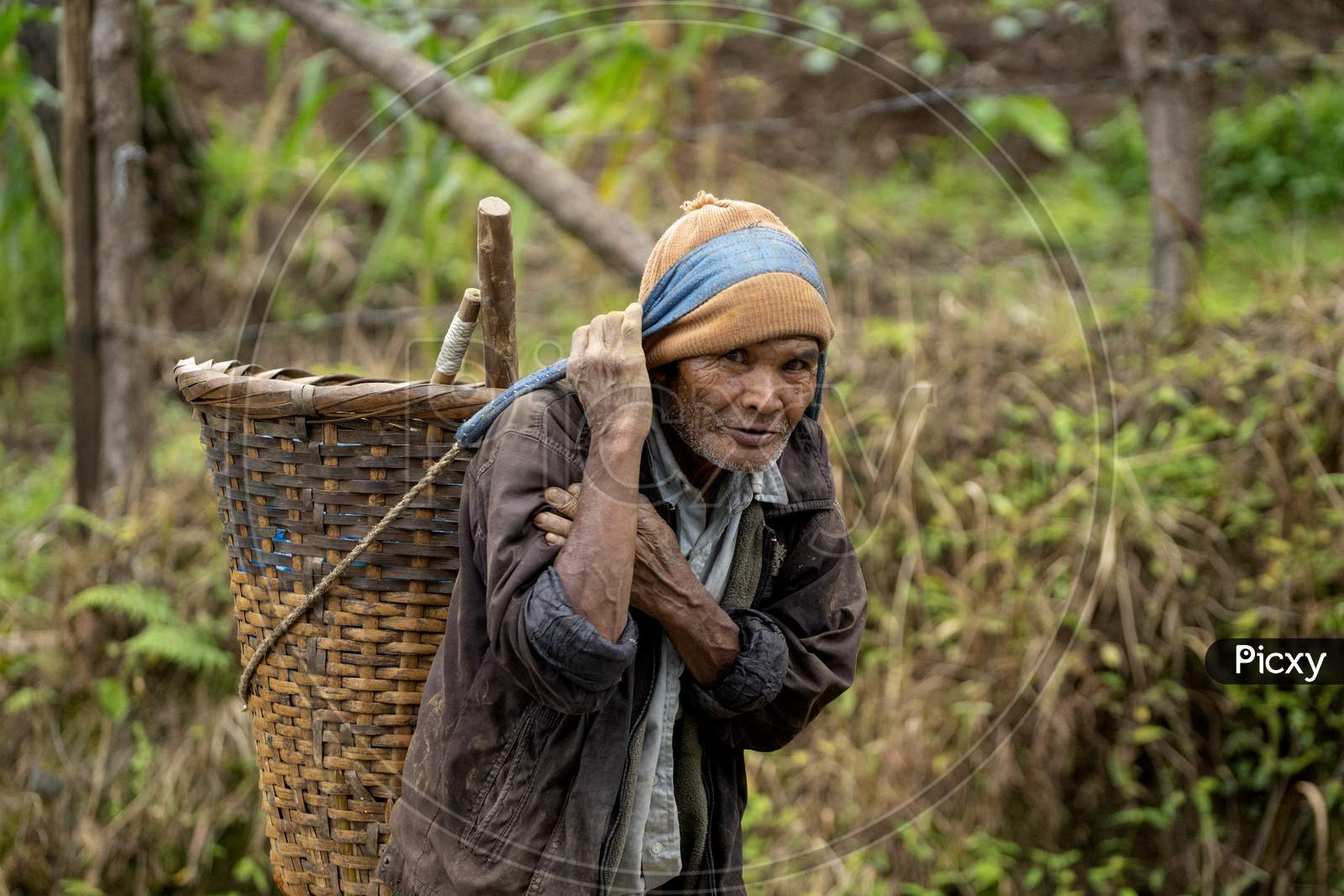 Image of Indian old man carrying basket-BT070894-Picxy