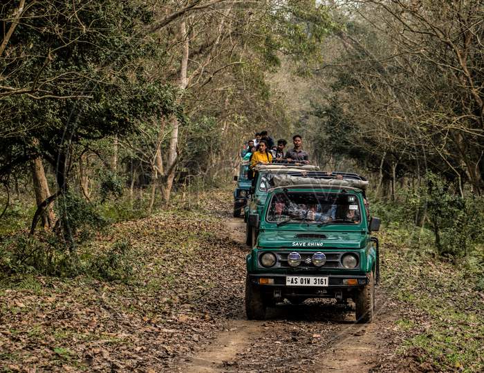 Jungle Jeep Safari