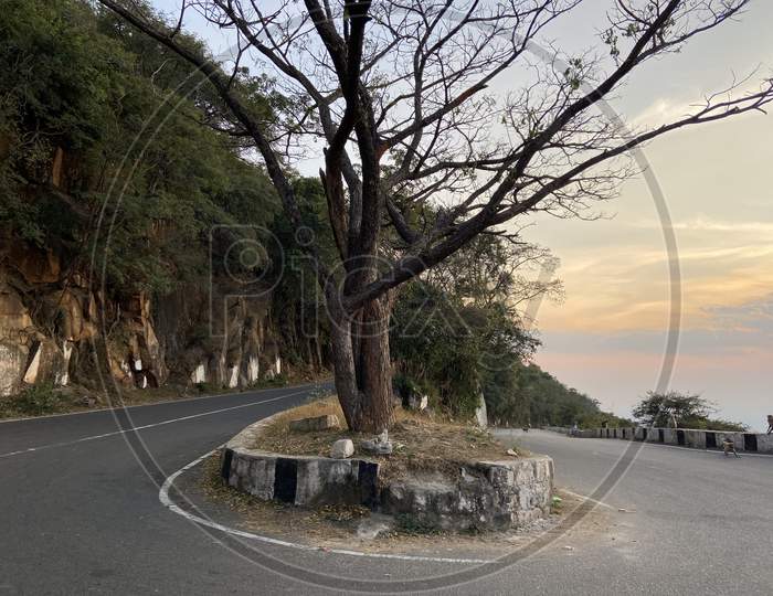 Yelagiri Ghat road curve