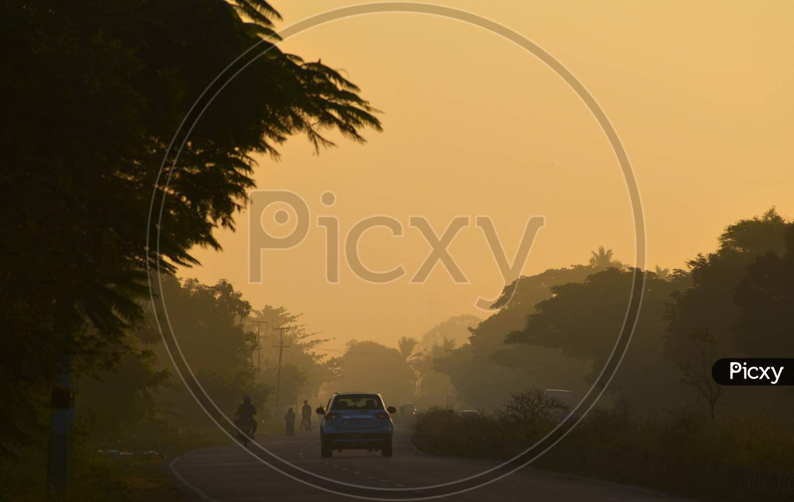 Car Moving In an Road On an Foggy Winter Morning