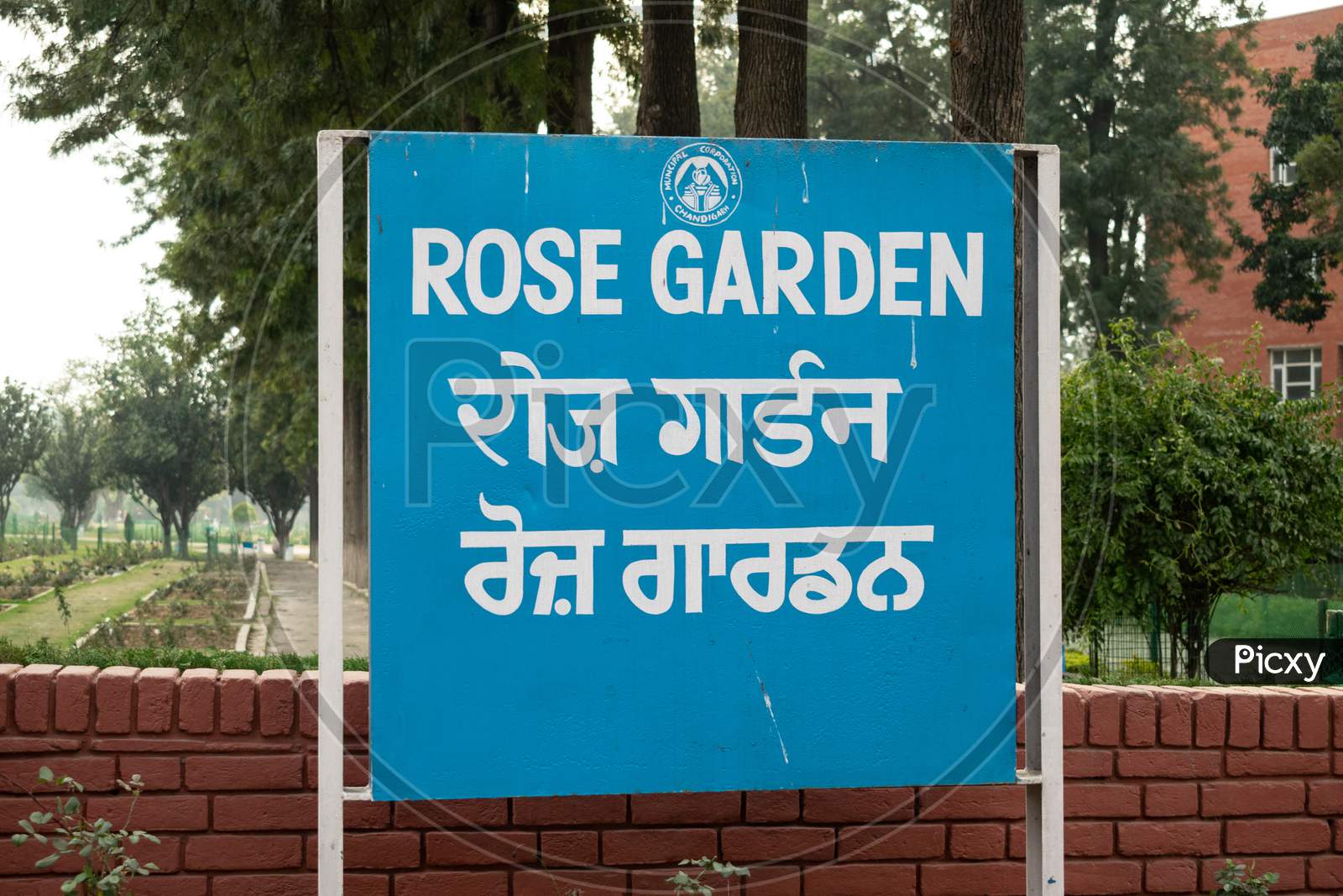 Zakir Rose Garden (Chandigarh)