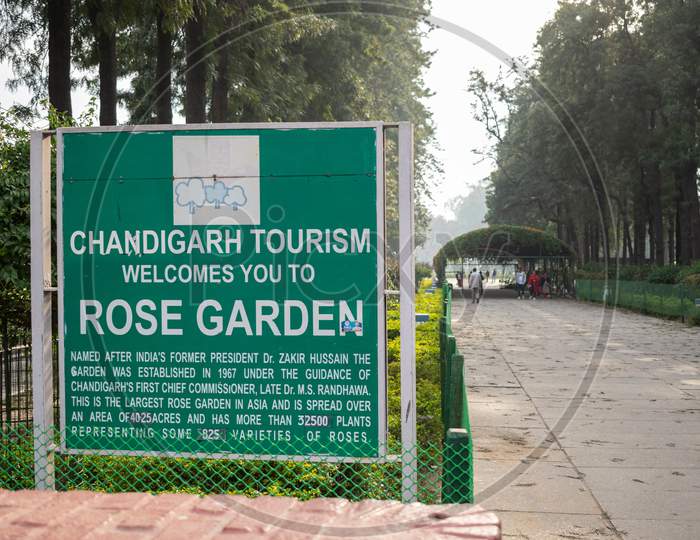 Zakir Rose Garden (Chandigarh)