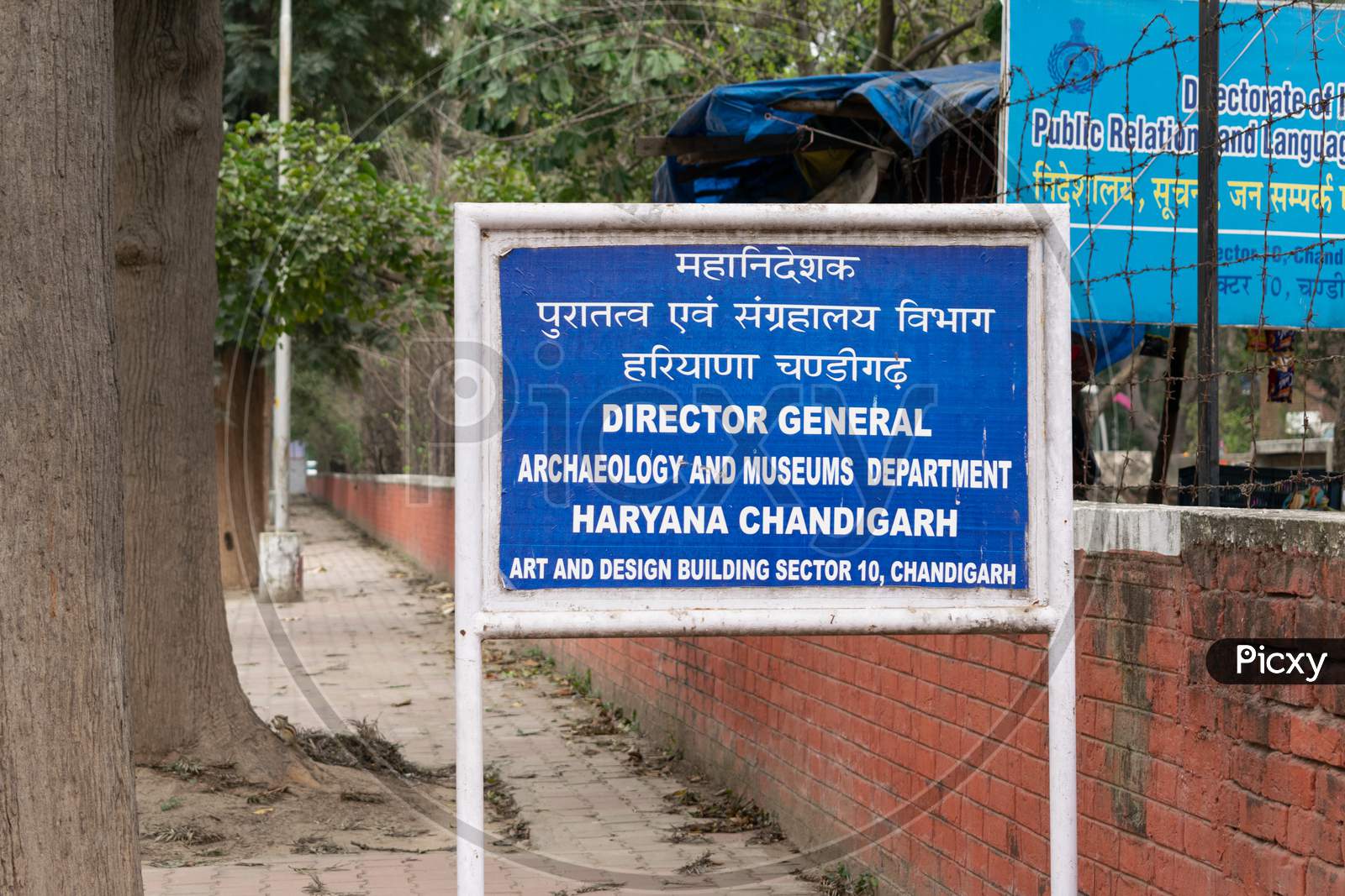 Director general archaeology and museums department haryana chandigarh