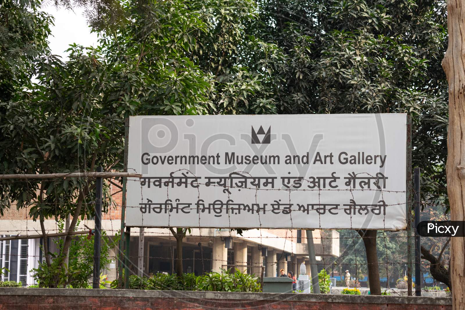 Government Museum and Art Gallery chandigarh