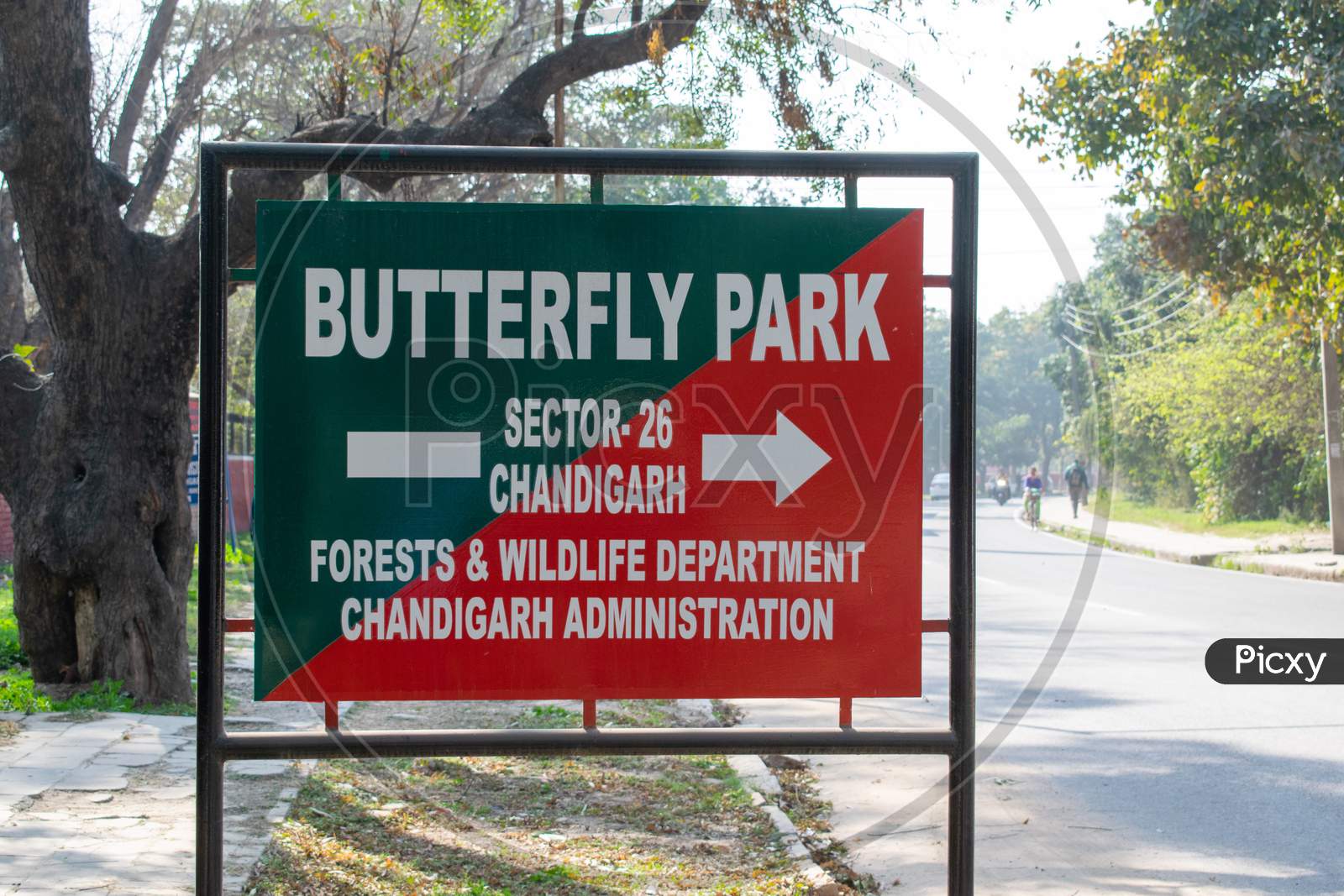 Butterfly Park chandigarh