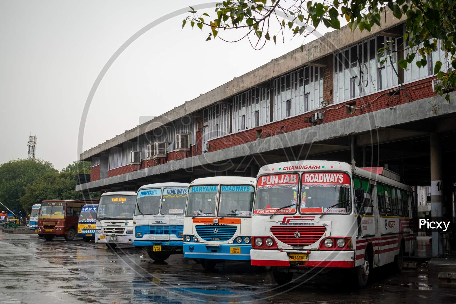 Image Of Roadways Buses At Inter State Bus Terminus ISBT, Sector 17 ...