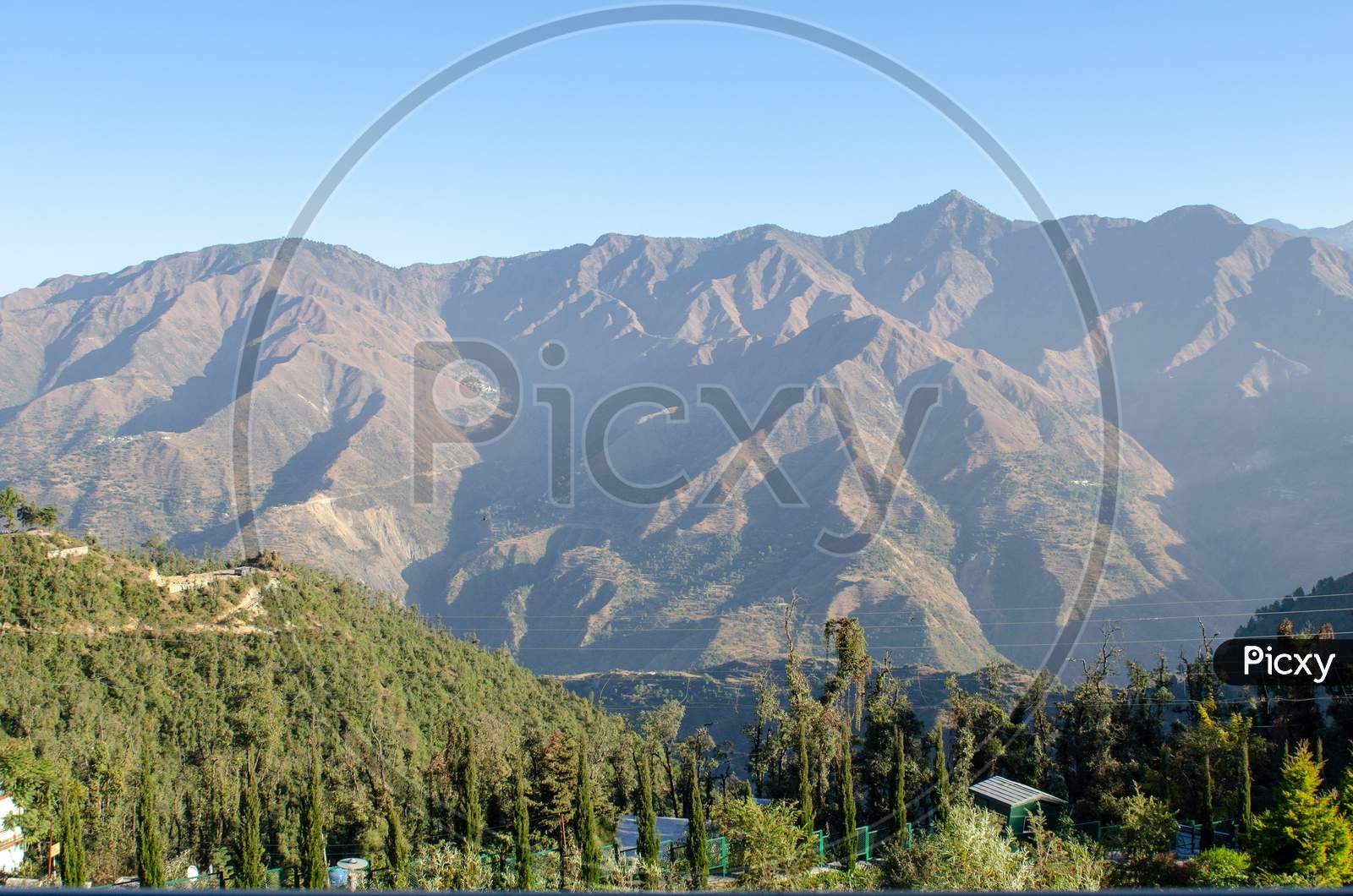 Landscape of Summit Rock Mountain With Deodar Trees in Foreground At  Mussoorie