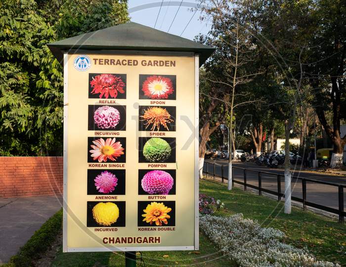 Terraced Garden chandigarh