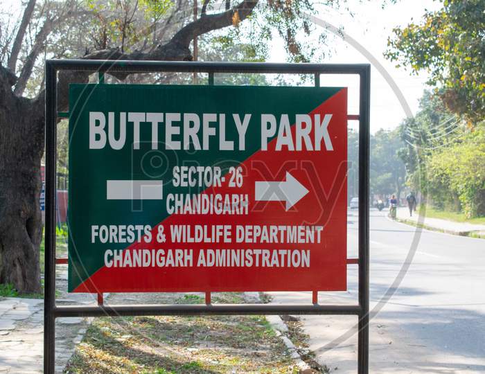 Butterfly Park chandigarh