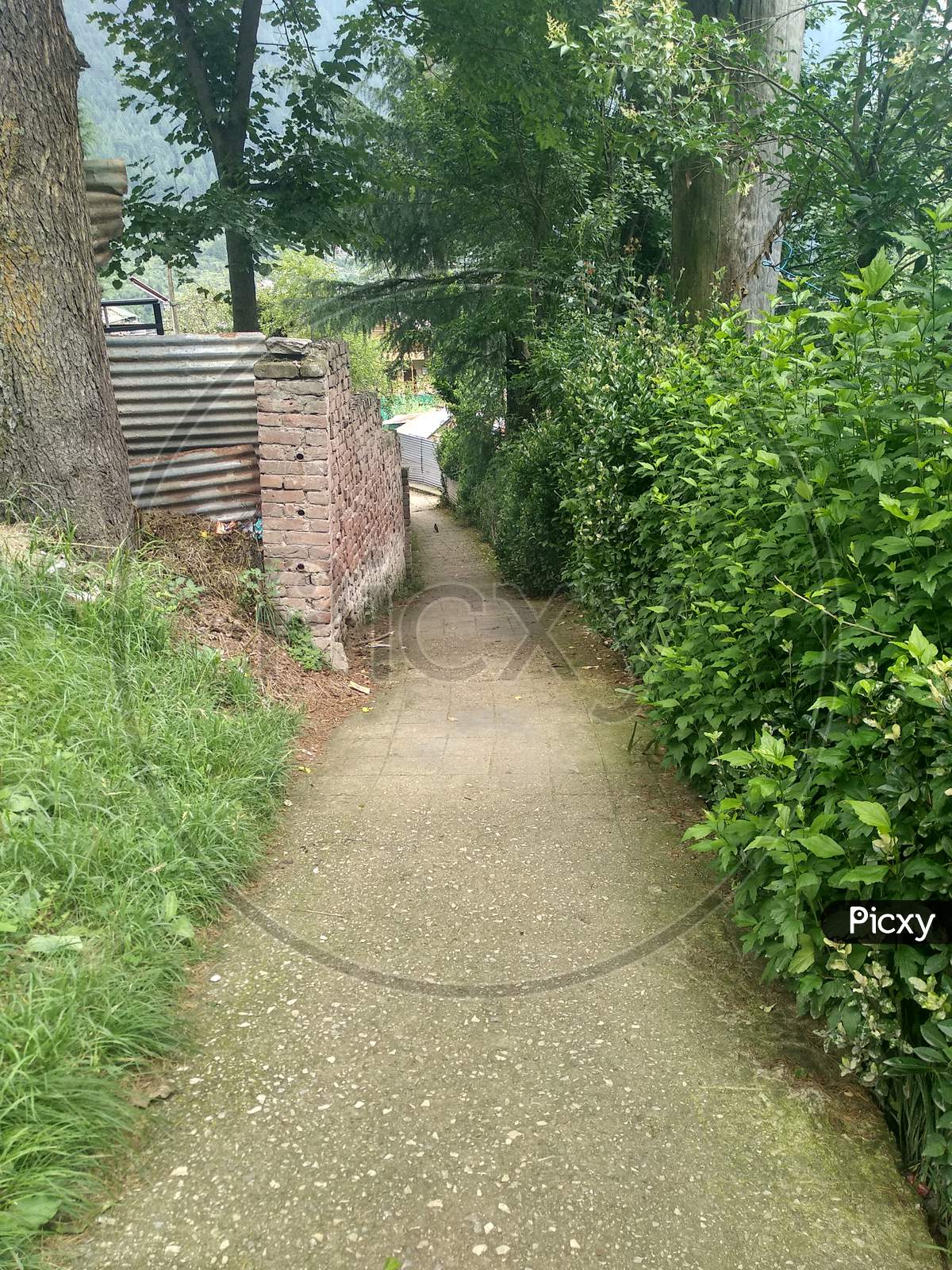 A narrow path