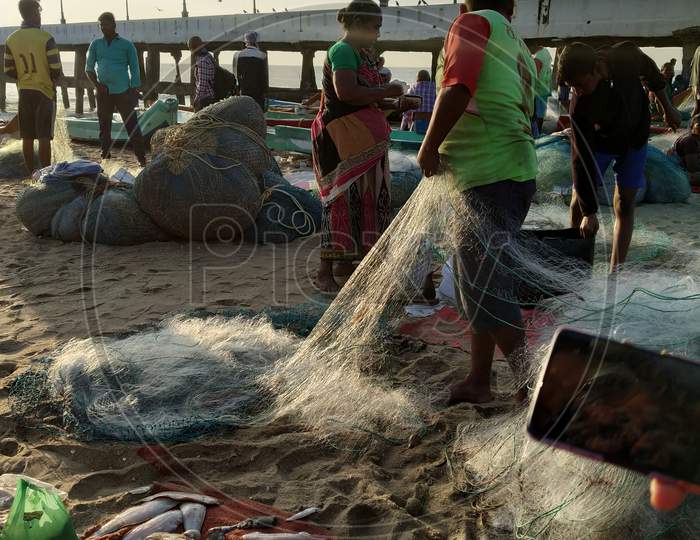 Fisherman With Their Catch Of Fish At a Fishing Hamlet In Pondichery