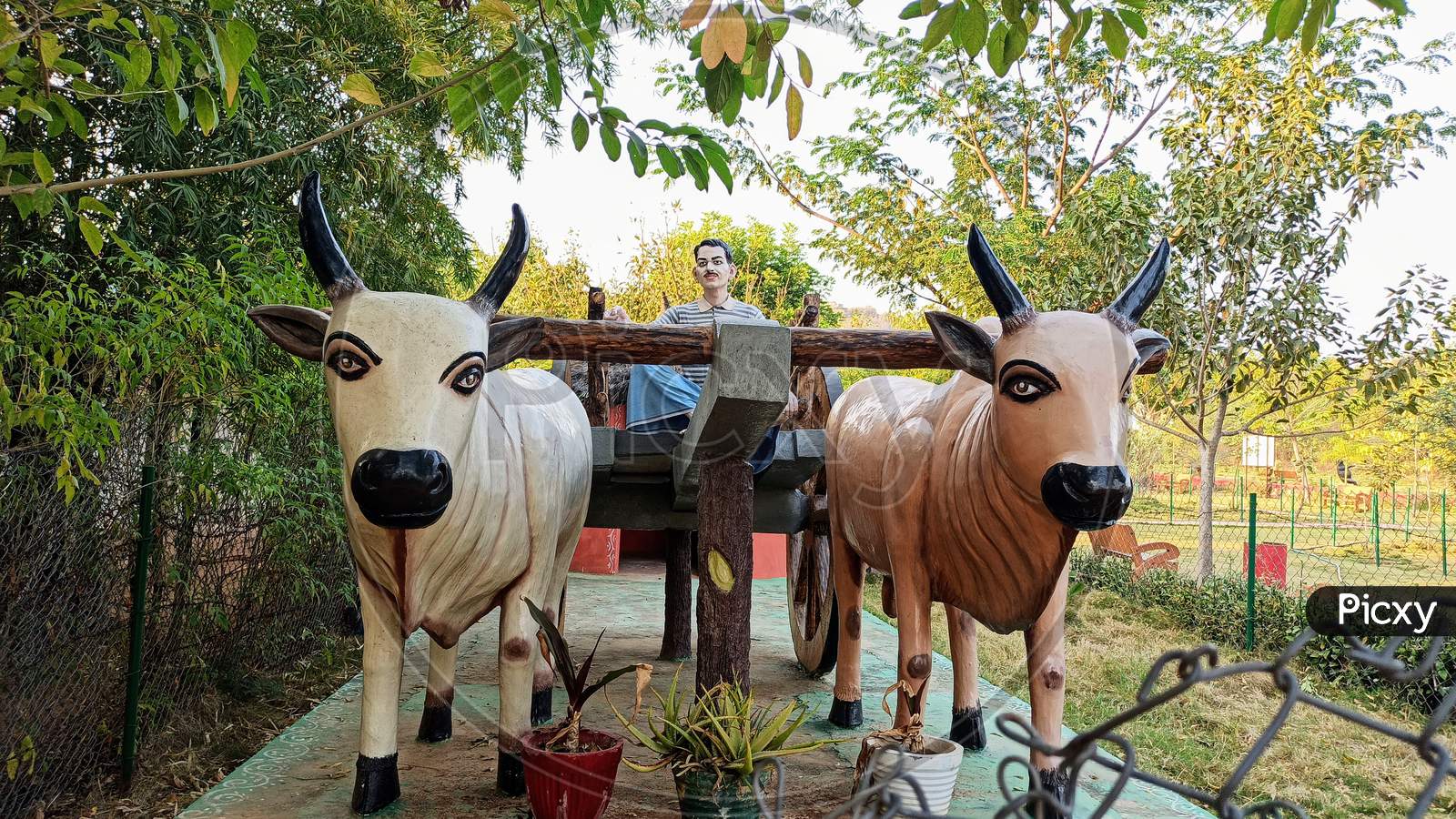 Bullock Cart At Mayuri Eco park Mahabubnagar Telangana India