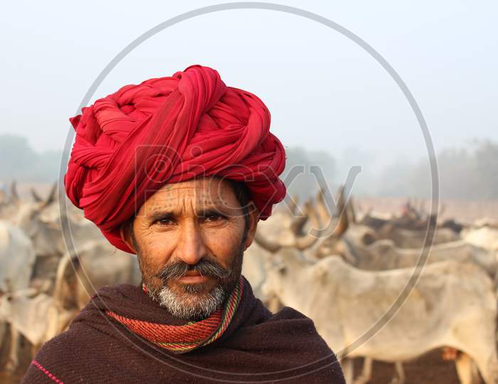 Portrait of a cattle herder from Harayana