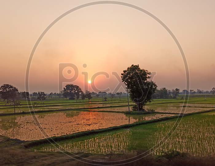 Agriculture Fields at Rural Telangana India