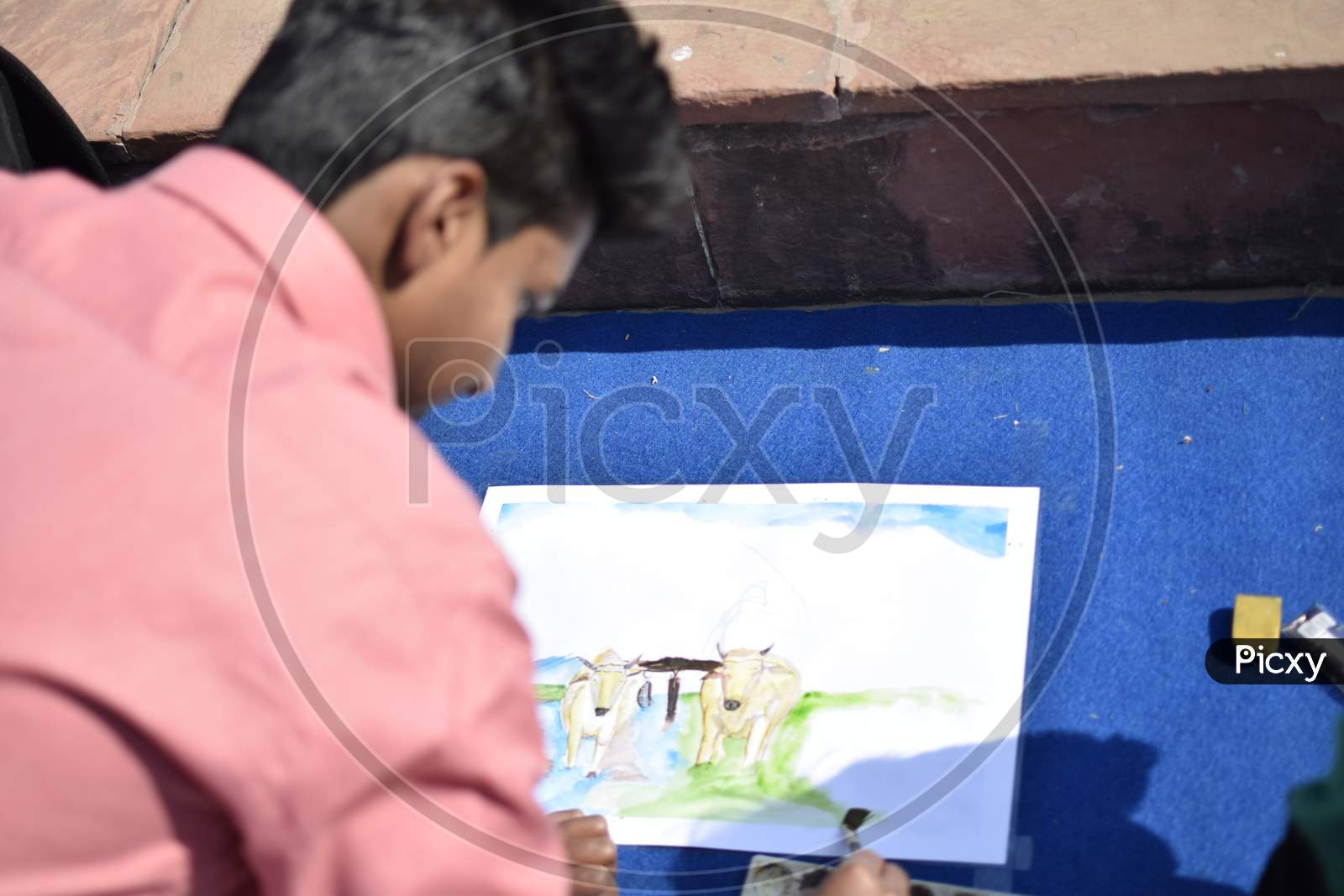 Indian School boy coloring bullock cart during art class