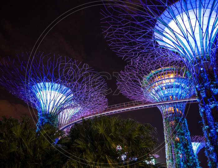 Super tree Grove at Gardens With Slider  By Marina Bay in Singapore