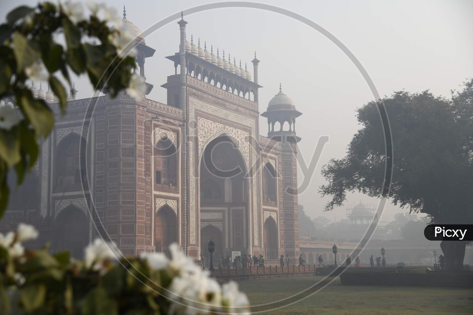 A Morning view of Darwaza-i-rauza of Taj Mahal